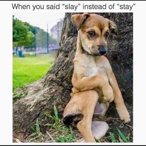 Meet your Posher, Irena